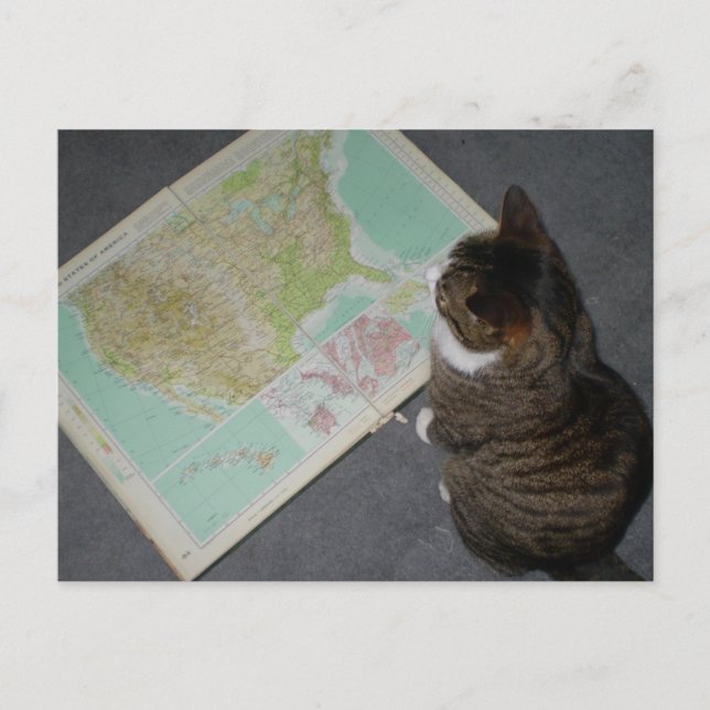 Cartão Postal Viagem de carro (Frente)