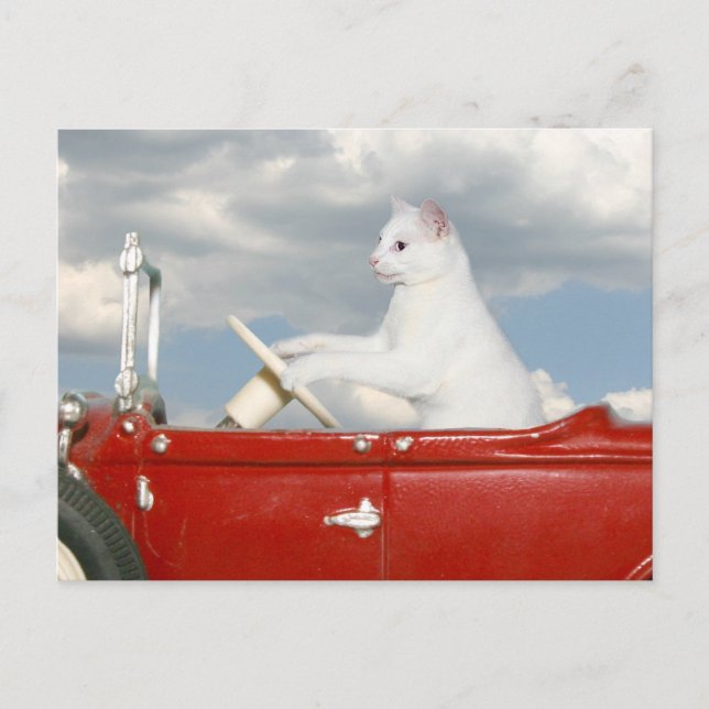 Cartão Postal viagem de domingo (Frente)