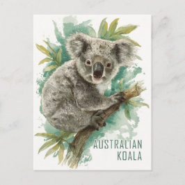 Cartão Postal Viagem de Koala Australiano Vintage