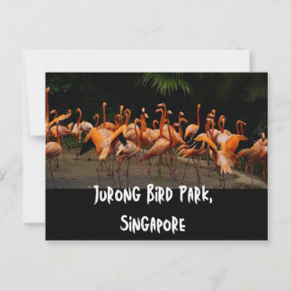 Cartão postal Viagem de Singapura