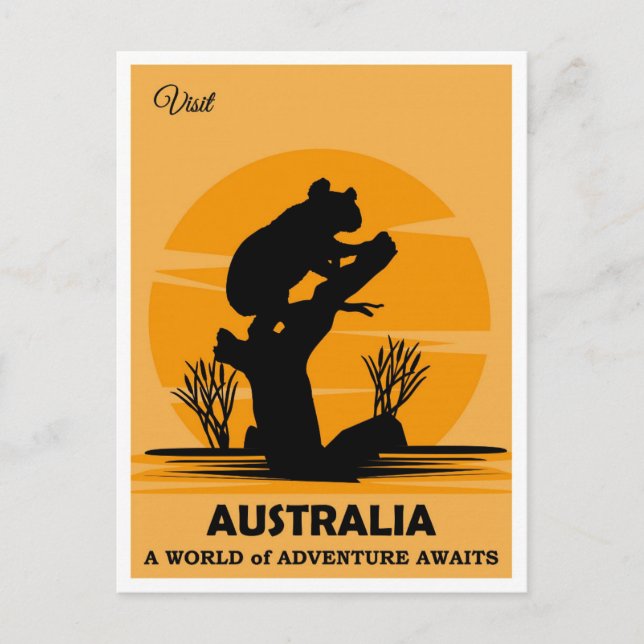 Cartão Postal Viagem de Urso de Koala, na Austrália (Frente)
