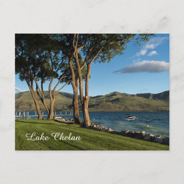 Cartão Postal Viagem do Lago Chelan Washington State Boat & Tree (Frente)
