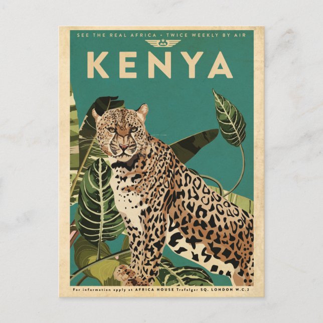 Cartão Postal Viagem do Quénia-Leopardo (Frente)
