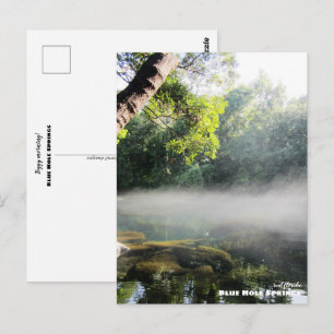 Cartão Postal Viagem   Florida - Blue Hole Primavera Foggy Morni