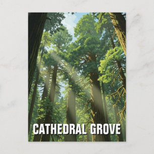 Cartão Postal Viagem para Cathedral Grove MacMillan Provincial P