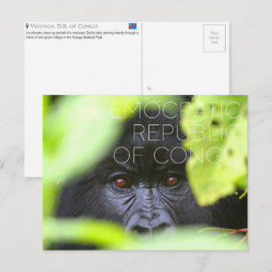 Cartão Postal Viagem para Virunga, República Democrática do Cong