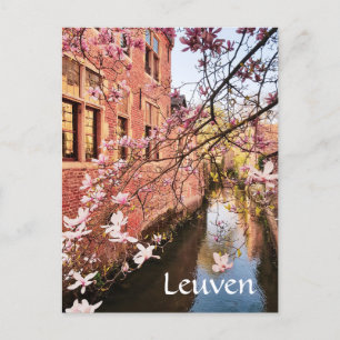 Cartão Postal Viagem PhotoPostcard Leuven Belgium
