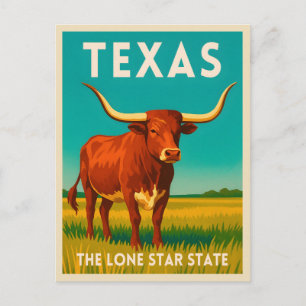 Cartão Postal Viagem Retro Vintage Texas Longhorn Gado