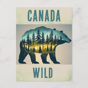 Cartão Postal Viagem Selvagem Vintage Canadá Urso