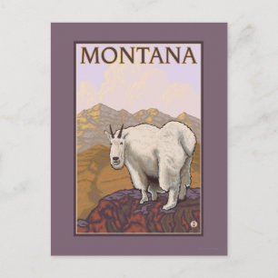 Cartão Postal Viagens vintage de MontanaMountain Goat