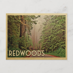Cartão Postal Viagens vintage do Parque Nacional das Sequoias