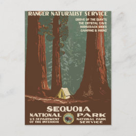 Cartão Postal Viagens vintage do Parque Nacional Sequoia
