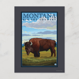 Cartão Postal Viagens vintage MontanaBison