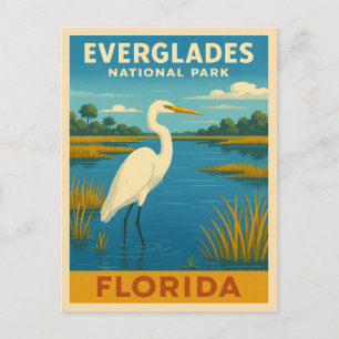 Cartão Postal Viagens vintage Retro Florida Everglades Nature