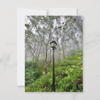 Cartão Postal Víberes portugueses