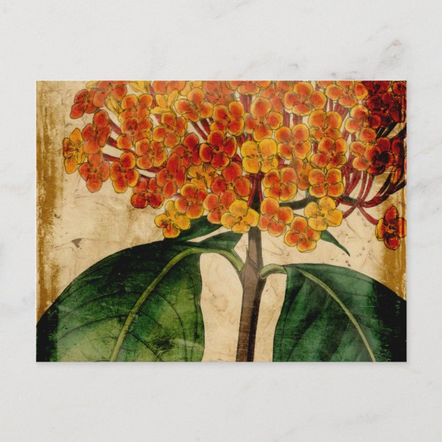 Cartão Postal Vibrant Floral I (Frente)