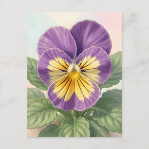 Cartão Postal Vibrante Flor de Pansy Amarelo Roxo Botânica 