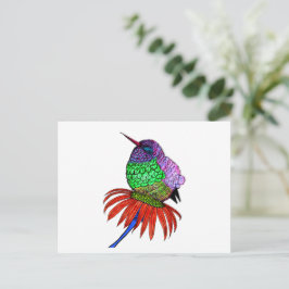 Cartão Postal Vibrante Fluffy Baby Hummingbird