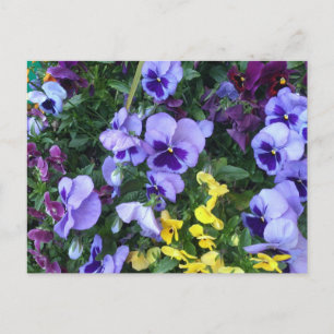 Cartão Postal Victoria Flowers