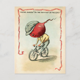 Cartão postal Victorian Bike Radish