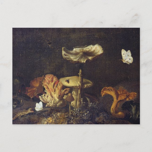 Cartão Postal Vida contínua com Cogumelos e Borboletas (Frente)