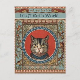 Cartão Postal Vida de Gato Antigo para Gatinho Clássico Vitorian