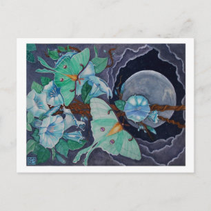 Cartão Postal Vida de la Luna