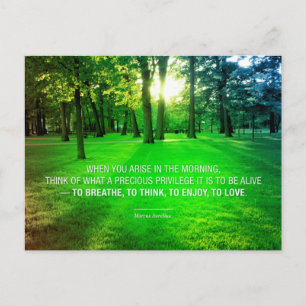 Cartão Postal Vida de Marco Aurélio Estoico Privilégio citação V