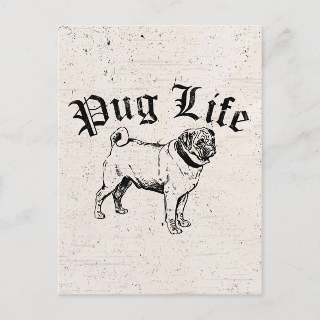 Cartão Postal Vida De Pug Cão Gangster Engraçado (Frente)