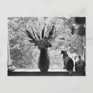 Cartão Postal Vida Estática com Gato