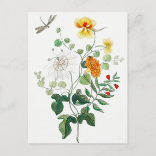 Cartão postal "Vida Estática das Flores"