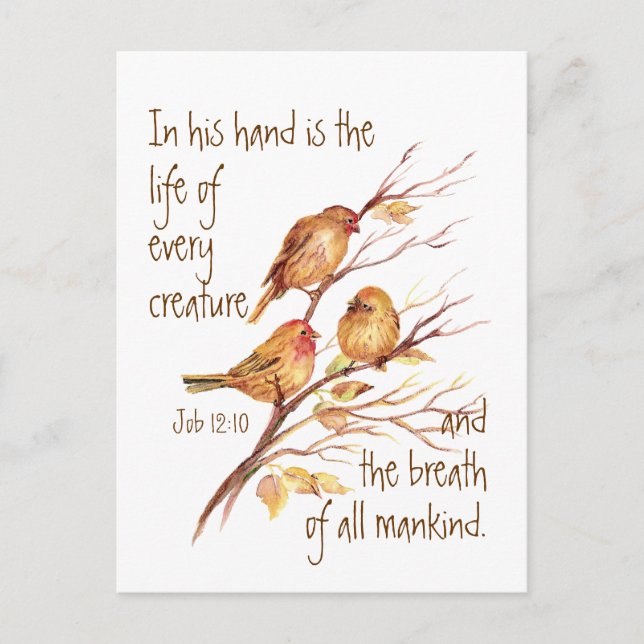 Cartão Postal Vida Inspirativa de cada citação de criação (Frente)