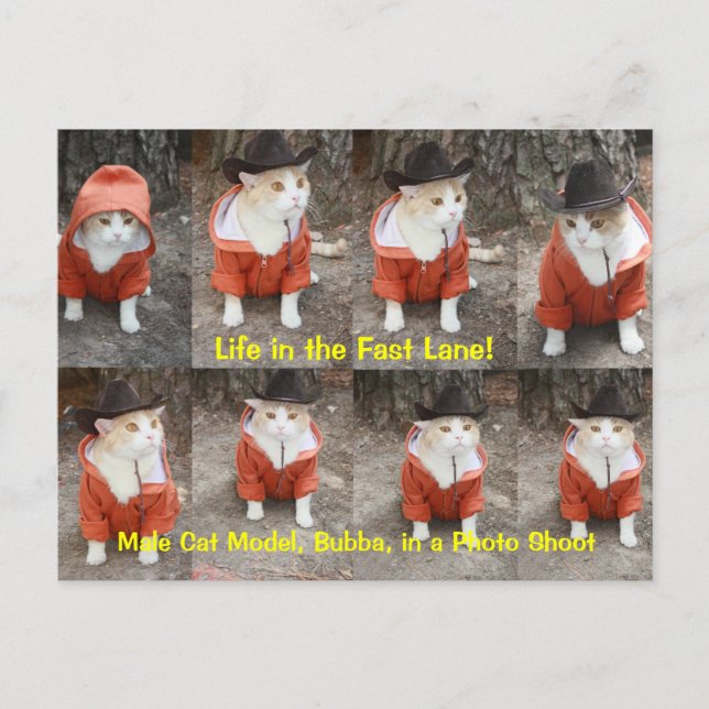 Cartão Postal Vida na faixa rápida! (Frente)