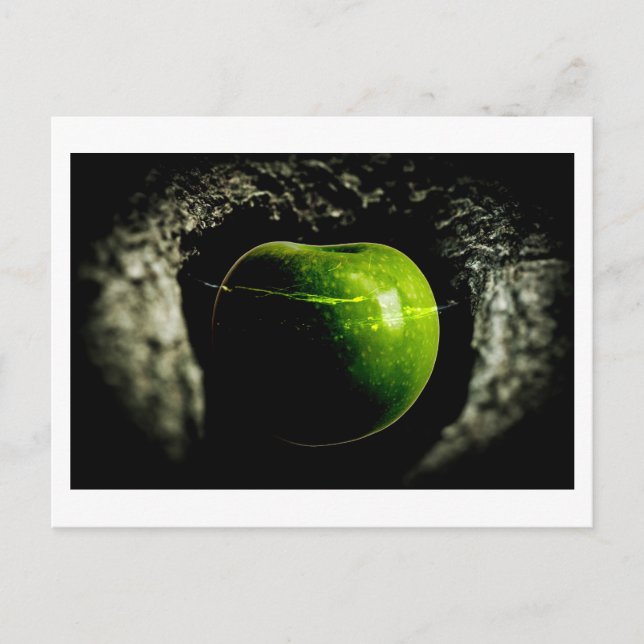 Cartão Postal vida na maçã (Frente)
