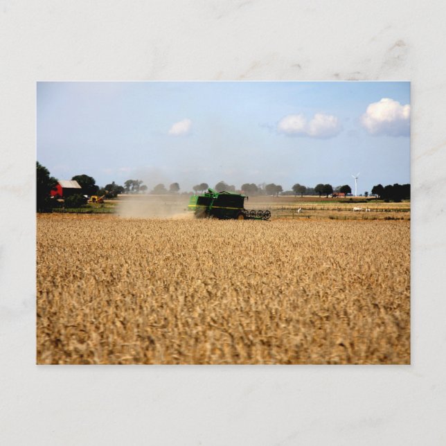 Cartão Postal Vida no campo (Frente)