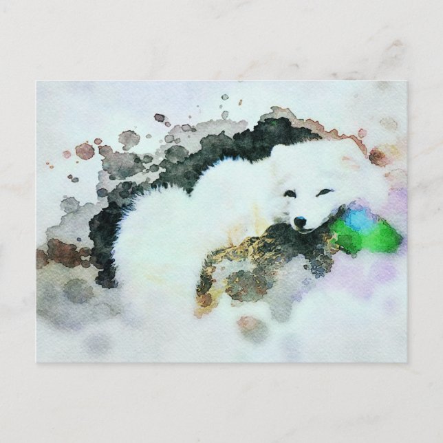 Cartão Postal *~* Vida Selvagem AP18 Snow White Arctic Raposa Po (Frente)