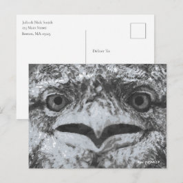 Cartão Postal Vida Selvagem Australiana, O Resmungão da Natureza