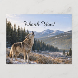 Cartão Postal Vida Selvagem Cena de Lobo Cinzento Uivando Obriga