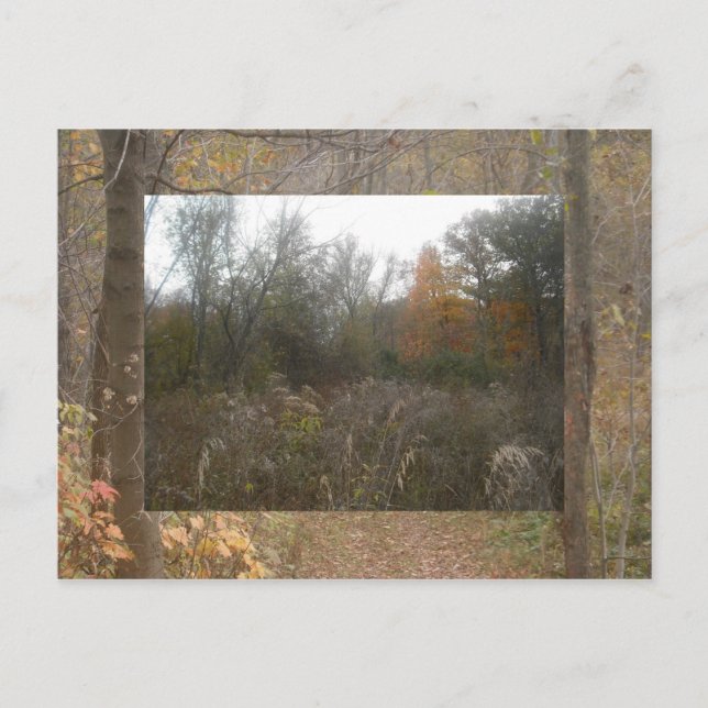 Cartão Postal vida selvagem de outono (Frente)