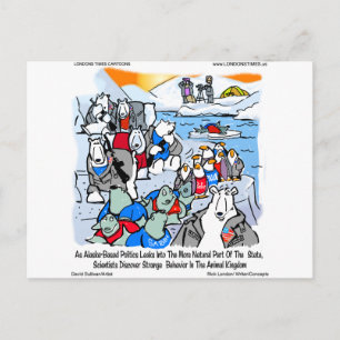 Cartão Postal Vida Selvagem E Política No Alasca Presentes E Cam