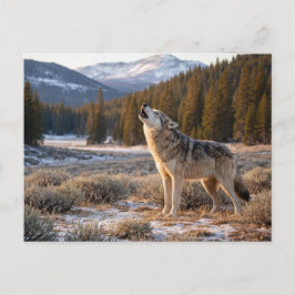 Cartão Postal Vida Selvagem Uivando Lobo Cinzento