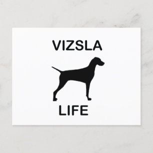 Cartão Postal vida vizsla