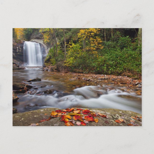 Cartão Postal Vidro Cai Pisgah Floresta Nacional (Frente)