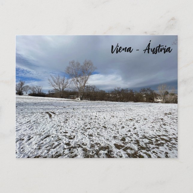 Cartão Postal Viena - Áustria (Frente)