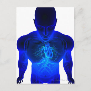 Cartão Postal View from above of the layout of blood vessels