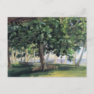 Cartão Postal 'View From Hut' - Cartão-postal John LaFarge