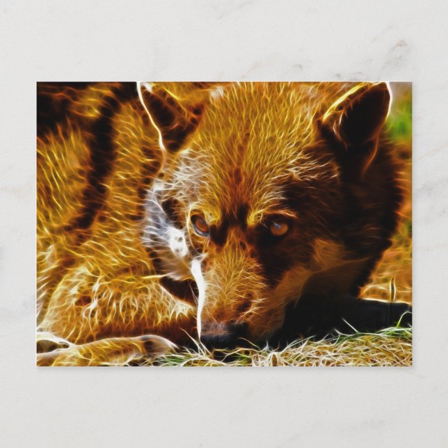 Cartão Postal Vigia (Frente)