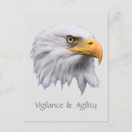 Cartão Postal Vigilância e agilidade da águia careca personalizá