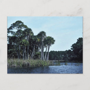 Cartão Postal Vincent National Willife Refge Água fresca La