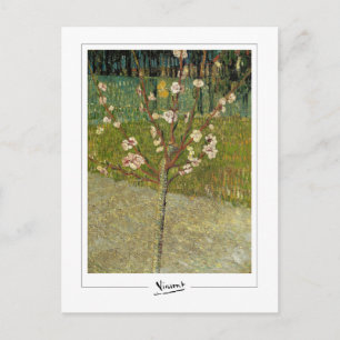 Cartão Postal Vincent Van Gogh #14-3 - Arte Refinada